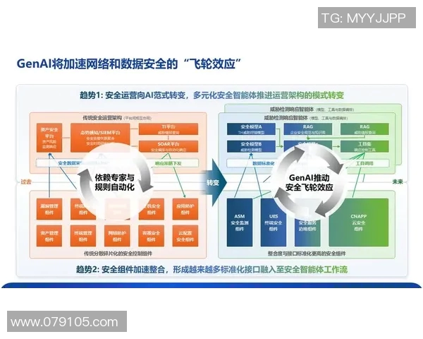 以信息安全为核心构建全面防护体系推动数字化时代的安全可持续发展