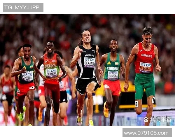 田径赛事全解析：从起跑线到终点线的挑战与突破