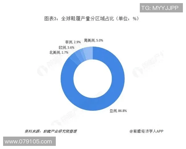 鞋业创新发展与市场趋势分析：未来十年全球鞋类产业的新机遇与挑战