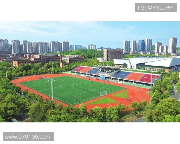 张丽的足球人生:从小球场到世界舞台的深度对话与成长历程